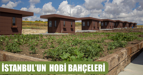 Hobi Bahçeleri