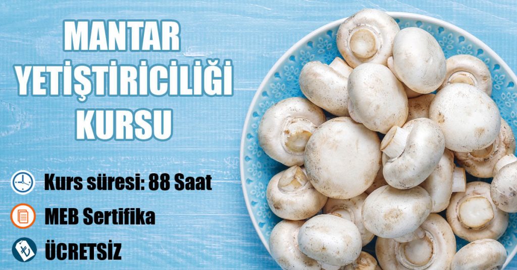 Mantar yetiştiriciliği kursu